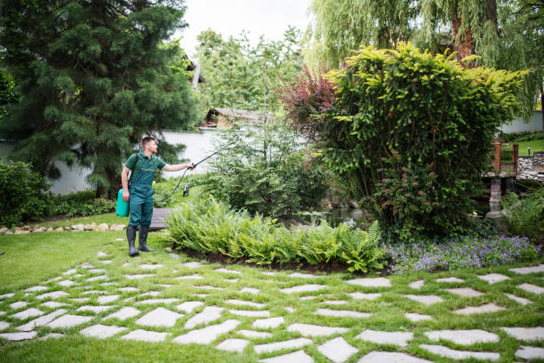 Reliable Shasta Lake, CA Pest Control Solutions
