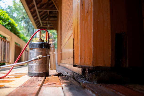 Best Best Pest Control Companies  in Shasta Lake, CA